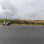 Bán đất lúa 10.200m² mặt tiền 52m Cần Đước Tây Ninh - Ảnh thu nhỏ 2
