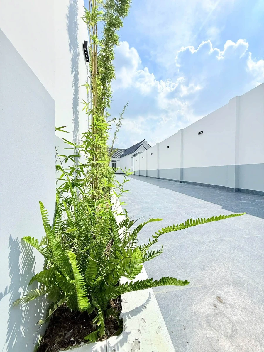 Bán nhà vườn 400m2, 3 PN tại xã Mỹ Lộc, Cần Giuộc - Ảnh thu nhỏ 3
