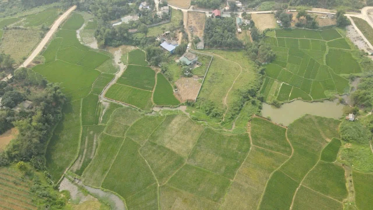 Bán đất 2500m2 có 1300m2 đất ở tại Mỵ Hòa, Kim Bôi, Hòa Bình - Ảnh 1