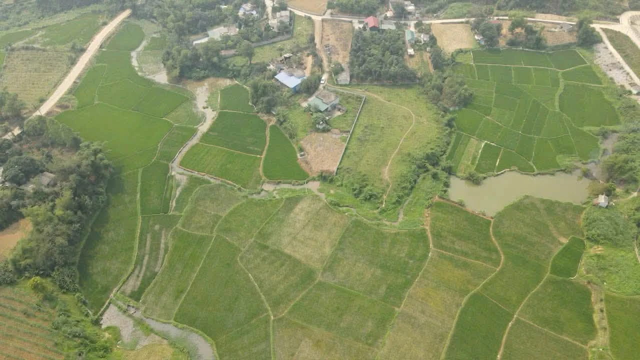 Bán đất 2500m2 có 1300m2 đất ở tại Mỵ Hòa, Kim Bôi, Hòa Bình - Ảnh 1
