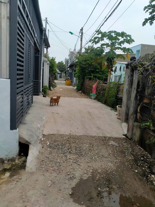 Bán lô đất 156m2 thổ cư 100m2 giá 2,25 tỷ tại phường Bà Rịa