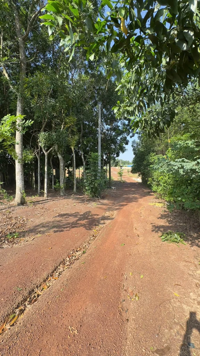 Bán lô đất 500m² gần hồ Trị An, Đồng Nai, 450 triệu - Ảnh thu nhỏ 5