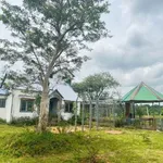 Bán đất 2ha Eakao Buôn Mê Thuột 400 triệu/sào - Ảnh thu nhỏ 2