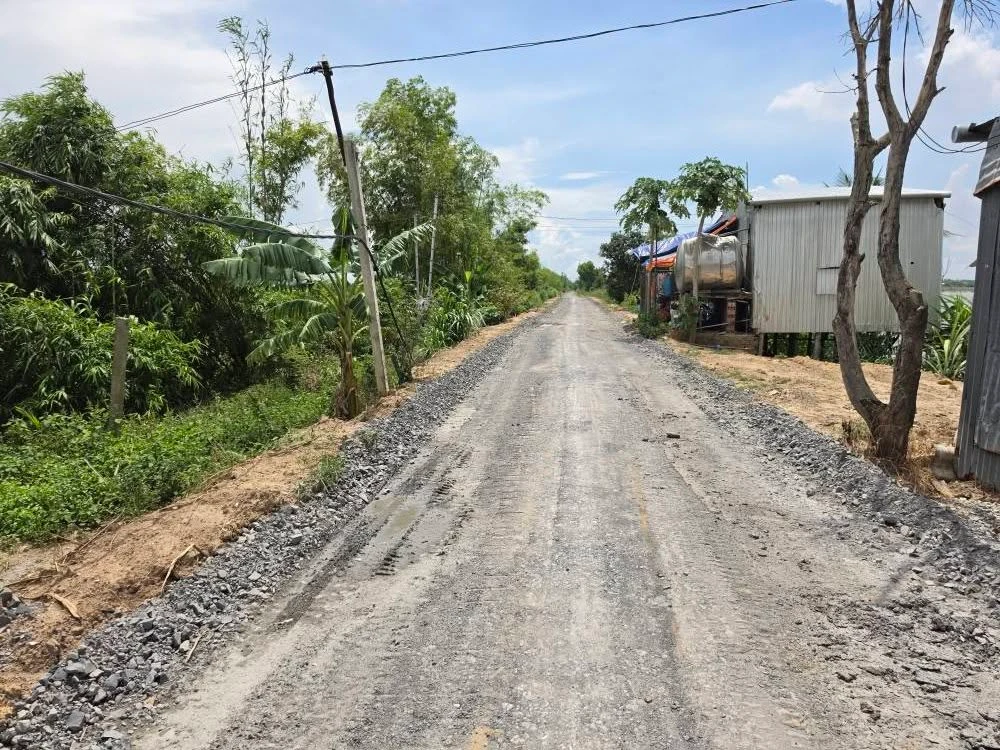Bán đất nền và ruộng mặt tiền 8m x 135m gần chợ Phú Hiệp, Tam Nông, Đồng Tháp - Ảnh thu nhỏ 3