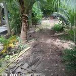 Bán đất 2000m² gần Trạm Y Tế An Phước Củ Chi - Ảnh thu nhỏ 2