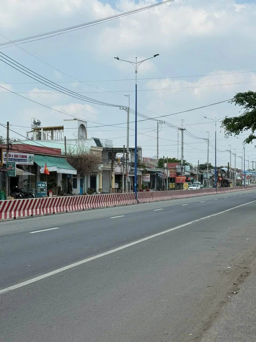 Bán đất 919m2 có 100m2 thổ cư tại Lai Uyên, Bàu Bàng, Bình Dương - Ảnh thu nhỏ 2