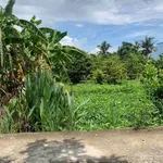 Bán đất ở đô thị 5x36m mặt tiền đường đan, khu phố Thọ Phú, Phường Long An - Ảnh thu nhỏ 2