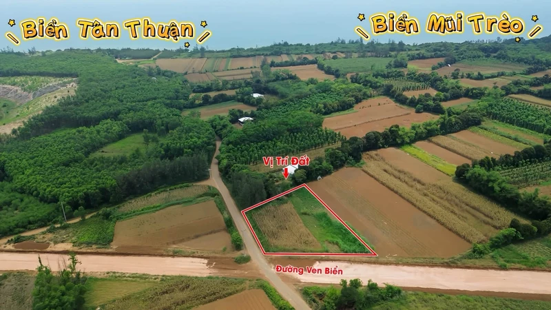 Bán đất 5000m² biển Quảng Trị giá 600k/m²