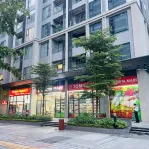 CĐT bán đợt cuối shophouse 55m2 - 12,2 tỷ (cho thuê 50tr/tháng) sẵn sổ lâu dài, quá ngon, rẻ vô đối - Ảnh thu nhỏ 31