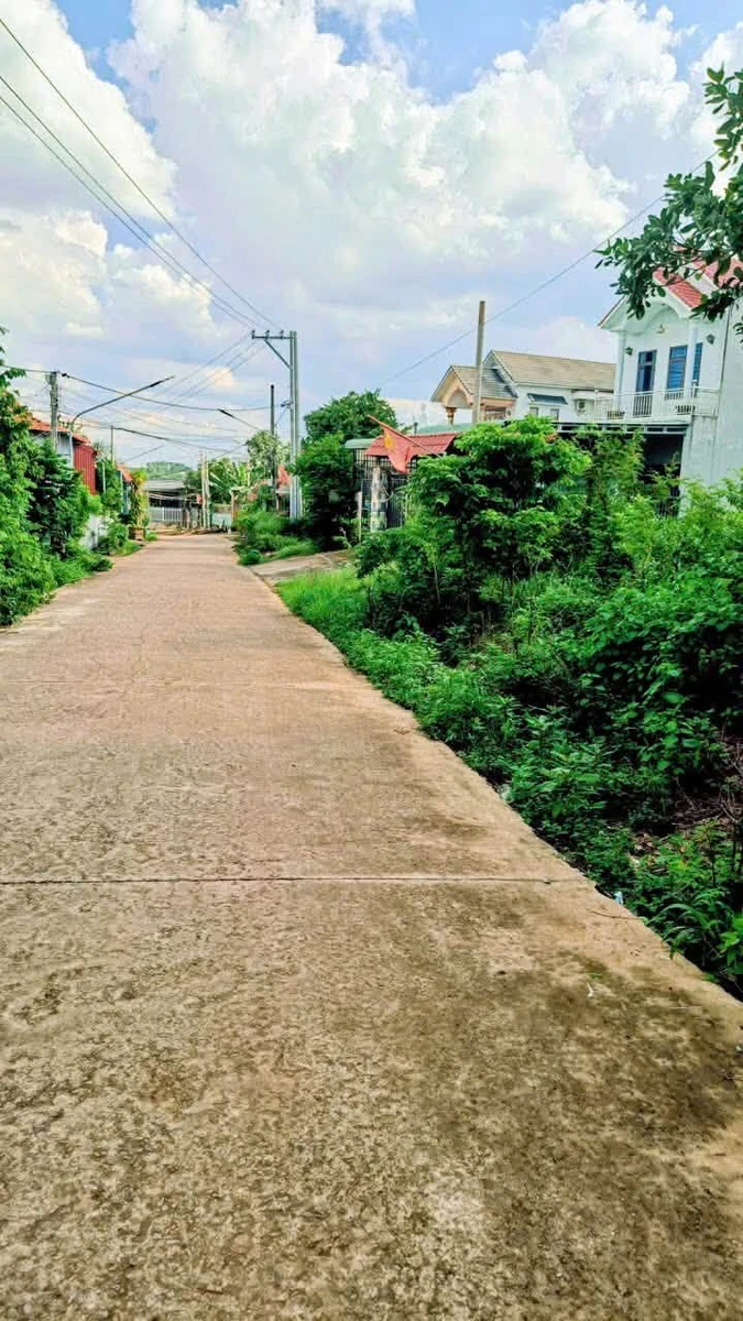 Bán đất Đồng Nai 146m² giá 1 tỷ 099 triệu - Ảnh thu nhỏ 3
