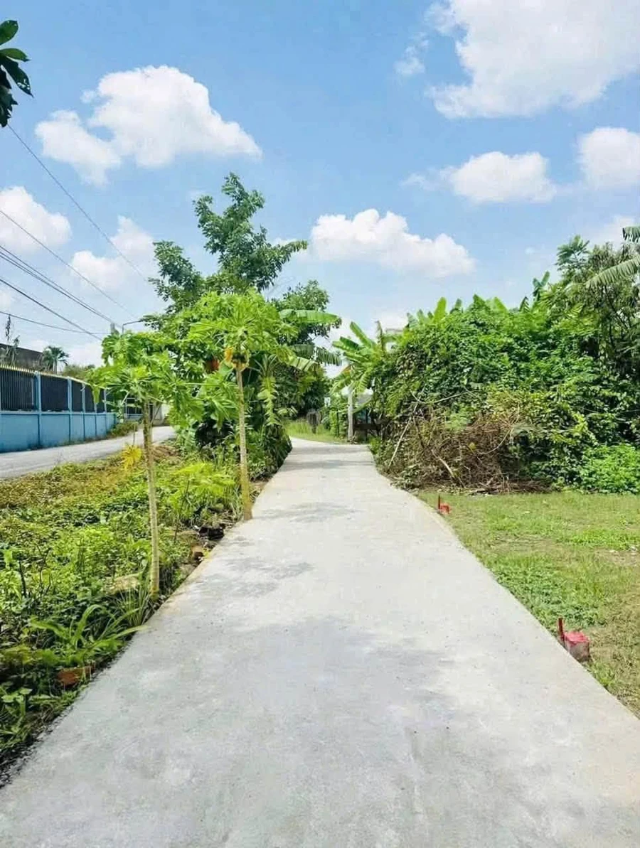 Bán nền đất 113m² mặt tiền Kênh Huỳnh Thị Luông, Cần Giuộc, 750 triệu - Ảnh 1
