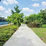 Bán nền đất 113m² mặt tiền Kênh Huỳnh Thị Luông, Cần Giuộc, 750 triệu - Ảnh thu nhỏ 1