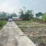 Bán đất 62m² sát đường 203 Lâm Động giá hơn 1 tỷ - Ảnh thu nhỏ 5