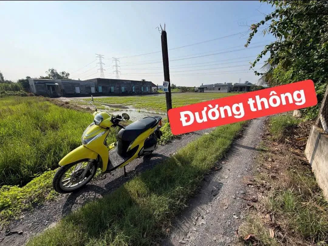 Bán đất thổ cư 5x41m, ấp Bình Lợi, xã Hòa Khánh Đông, Củ Chi, giá 650 triệu - Ảnh thu nhỏ 2