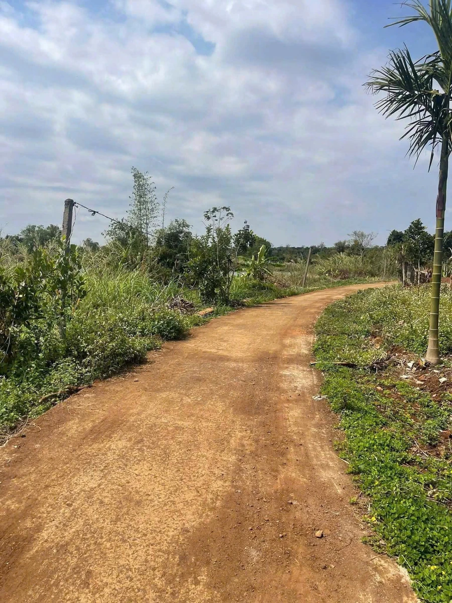 Bán đất Phú Xuân Krong Năng Đắk Lắk 79m2 - Ảnh thu nhỏ 2