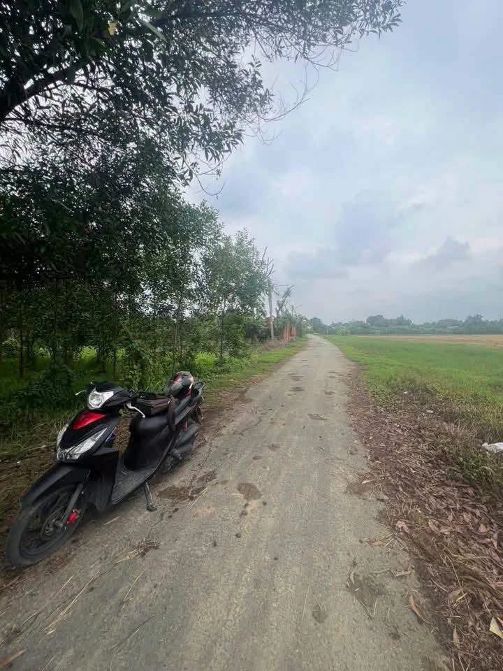 Bán đất mặt tiền đường nhựa Bạch Đằng, Tân Uyên, Bình Dương, 400m2 giá khoảng 2 tỷ - Ảnh thu nhỏ 2