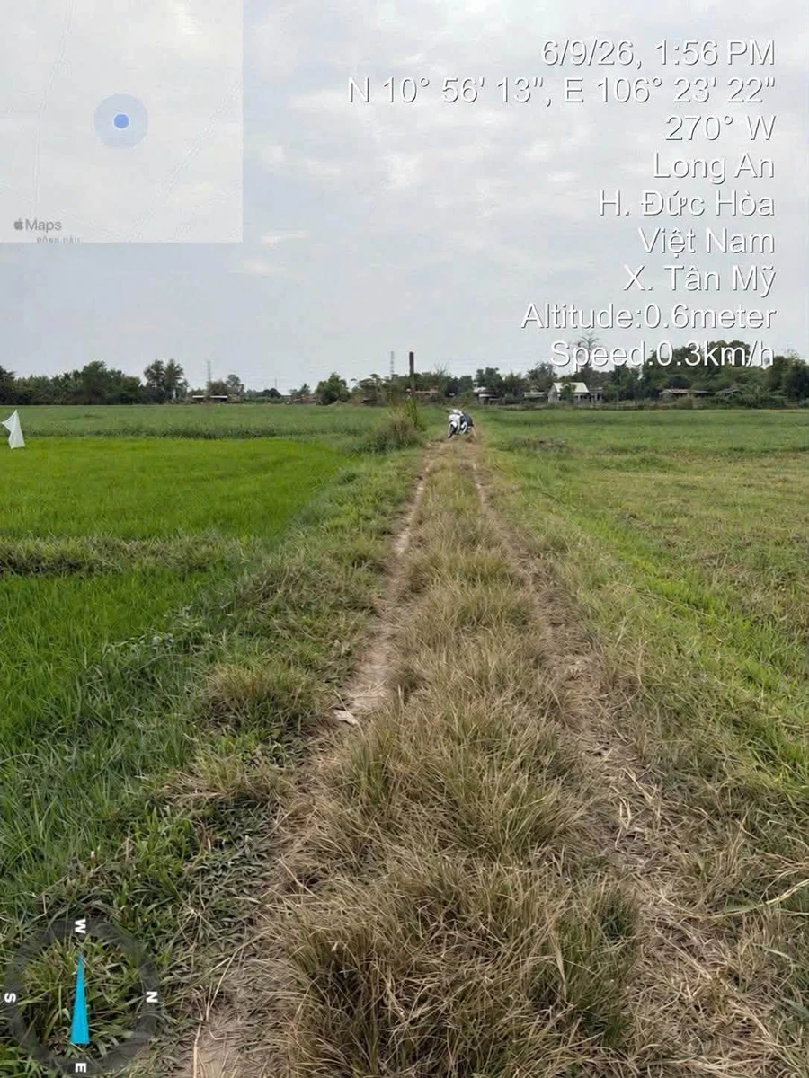 Bán 5247m2 đất lúa mặt tiền 61,8m gần Vinhomes Hậu Nghĩa, Đức Hòa - Ảnh thu nhỏ 3