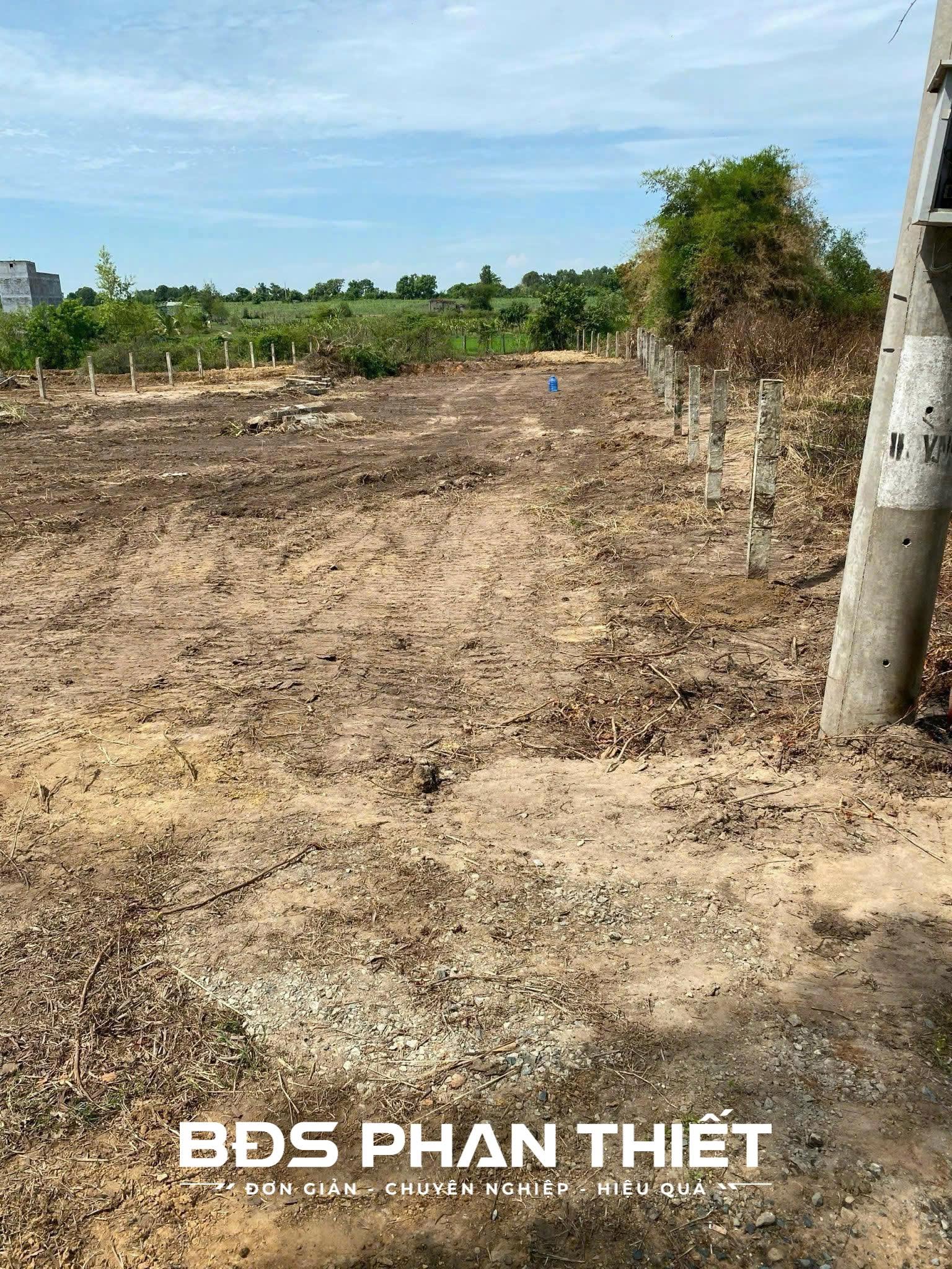 Bán đất vườn Hàm Liêm 1.031 m² – 800 triệu - Ảnh thu nhỏ 3