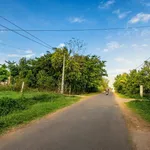 Bán đất góc mặt tiền Buôn Hô, 475m2, 40tr/m, Ea Drơng - Ảnh thu nhỏ 1