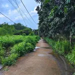 Bán đất gần chợ Tân Thành Nhà Bè, 522m² chỉ 1,1 tỷ - Ảnh thu nhỏ 3