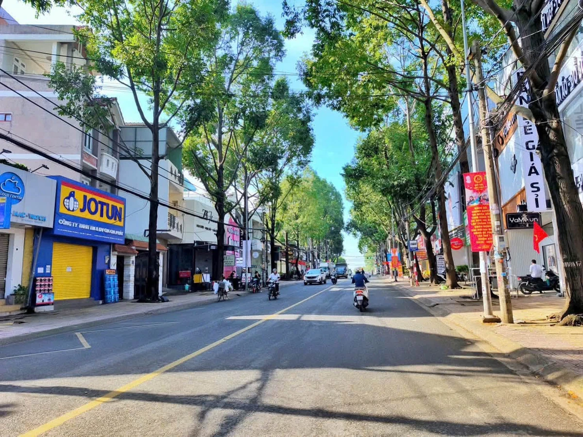 Bán lô đất mặt tiền đường Dương Tử Giang 148m2, giá 14,8 tỷ - Ảnh thu nhỏ 3