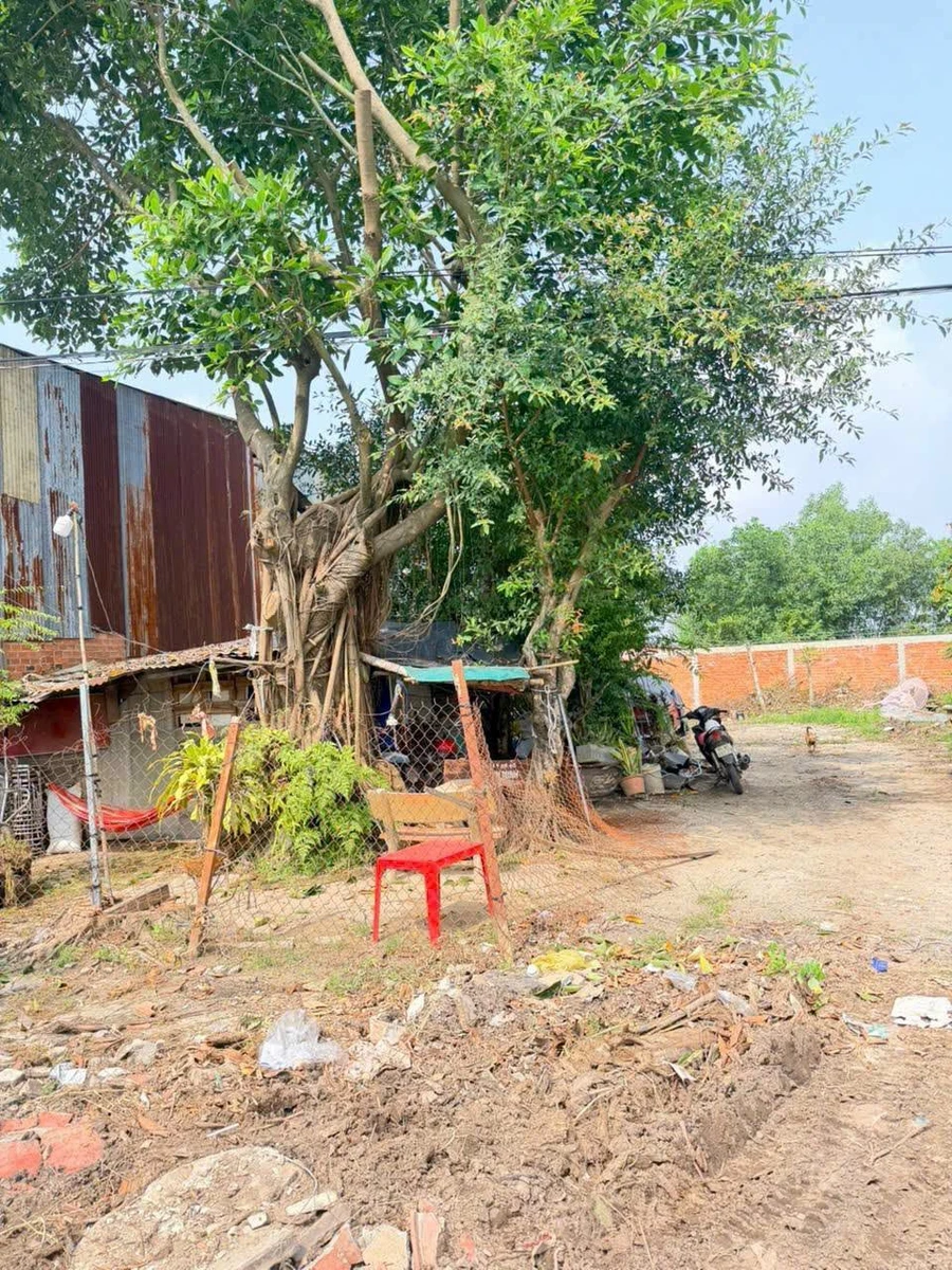 Bán đất mặt tiền QL 22B 235m² Tây Ninh 900 triệu - Ảnh thu nhỏ 2