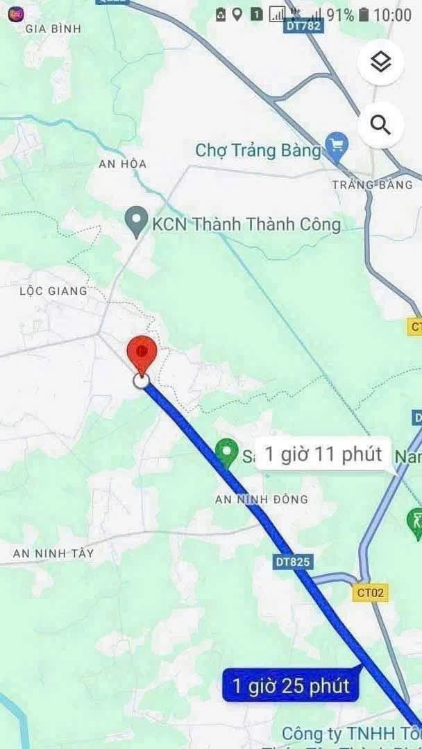 Bán đất mặt tiền Tỉnh Lộ 825 Tây Ninh 443m2 - Ảnh thu nhỏ 2