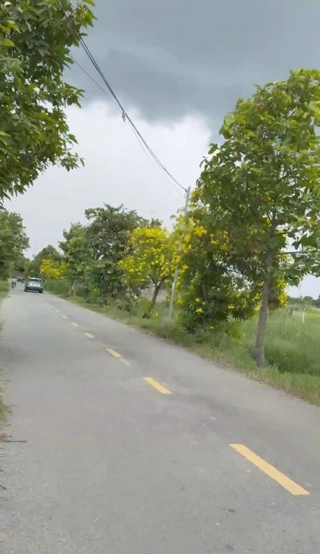 Bán 2000m² đất mặt tiền Thanh Phú, Long An