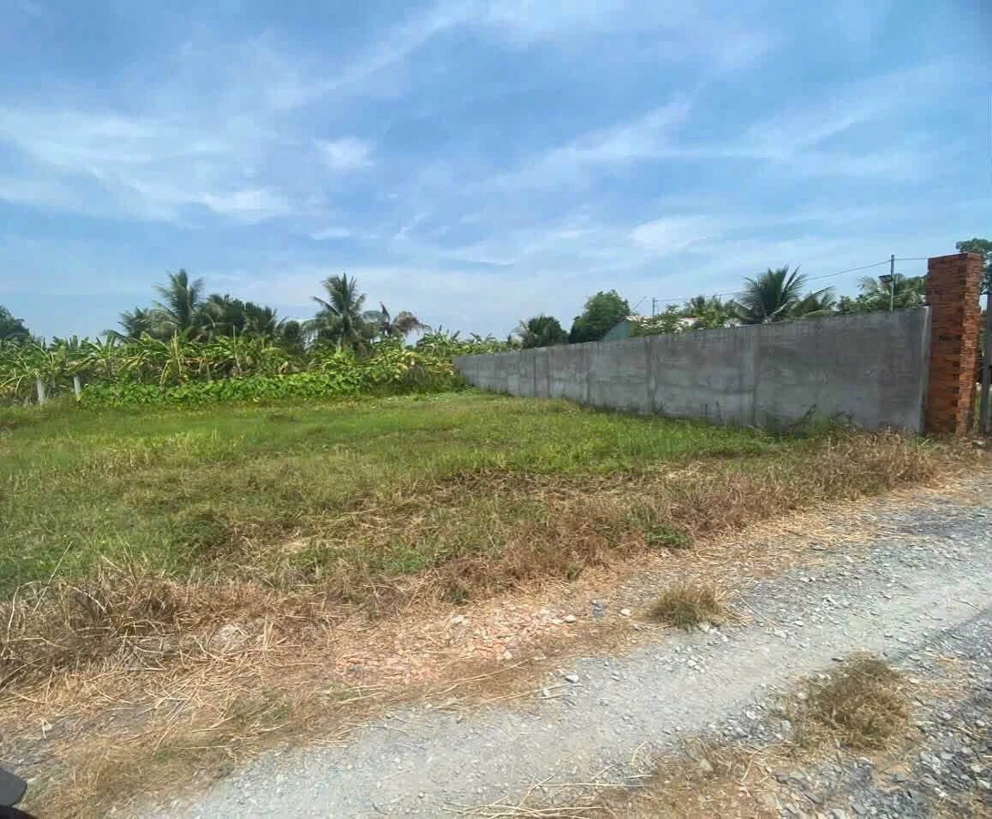 Bán lô đất thổ cư 238m² Hoàng Anh, Long An - Ảnh thu nhỏ 2