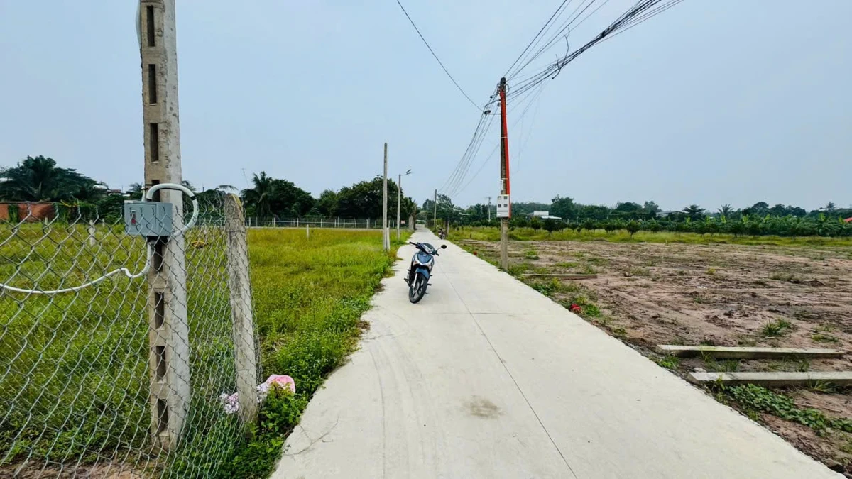 Bán đất 5x50m có 80m² thổ cư Phước Tây 400 triệu - Ảnh thu nhỏ 2