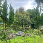 Bán đất góc 2 mặt tiền 1.575m² Lộc Sơn Bảo Lộc - Ảnh thu nhỏ 5