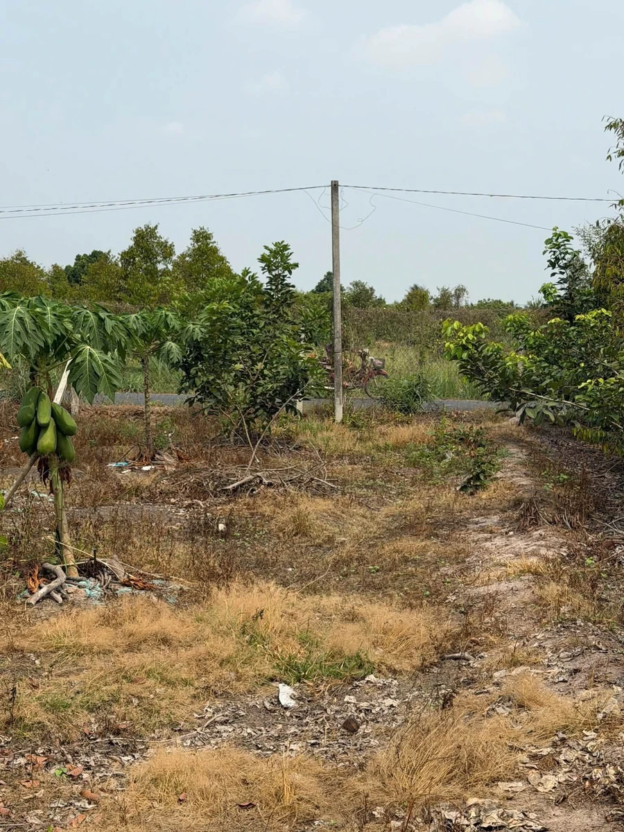 Bán đất mặt tiền Nguyễn Lương Bằng 1000 m², Tây Ninh - Ảnh thu nhỏ 5
