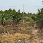 Bán đất mặt tiền Nguyễn Lương Bằng 1000 m², Tây Ninh - Ảnh thu nhỏ 5