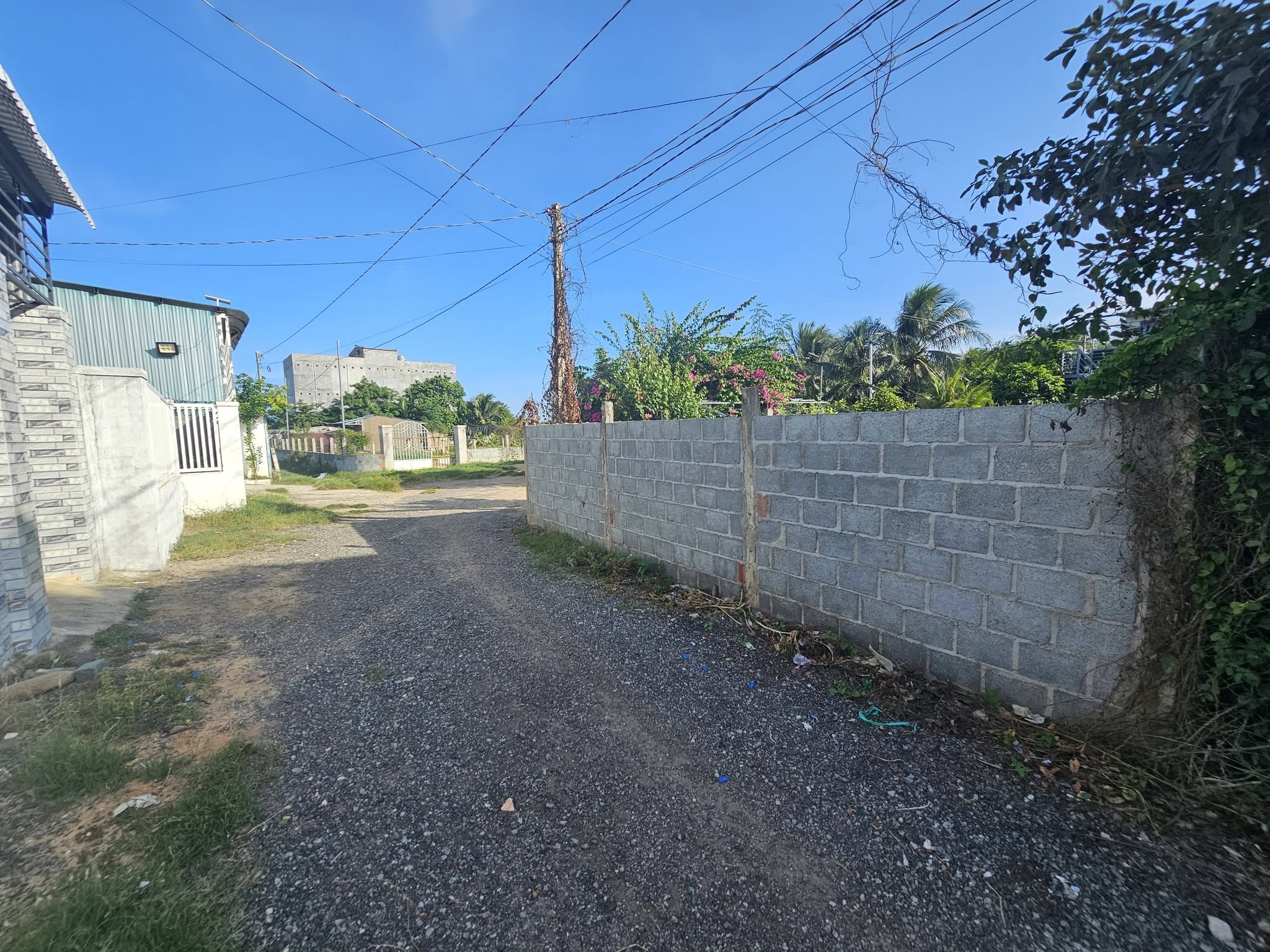 Bán nhà vườn An Hải Phước Dinh Khánh Hòa 4.371m² giá 5 tỷ - Ảnh thu nhỏ 2