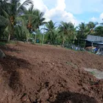 Bán đất Quới Điền Thạnh Phú 1008m2 mặt tiền 3.5m - Ảnh thu nhỏ 1