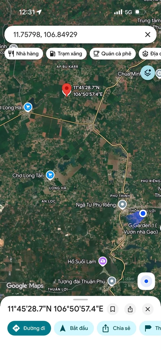 Bán đất cao su 1,5 ha Phú Riêng, giá 1 tỷ 650 - Ảnh thu nhỏ 2