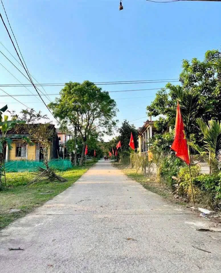 Bán 1200m² đất trồng cây lâu năm Huế - 139 triệu - Ảnh thu nhỏ 3