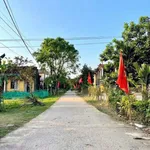 Bán 1200m² đất trồng cây lâu năm Huế - 139 triệu - Ảnh thu nhỏ 3