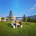 Chủ villa cực đẹp thực sự cần bán gấp 4300m2 Cư Yên Lương Sơn các bác đàm phán thoải mái - Ảnh thu nhỏ 18