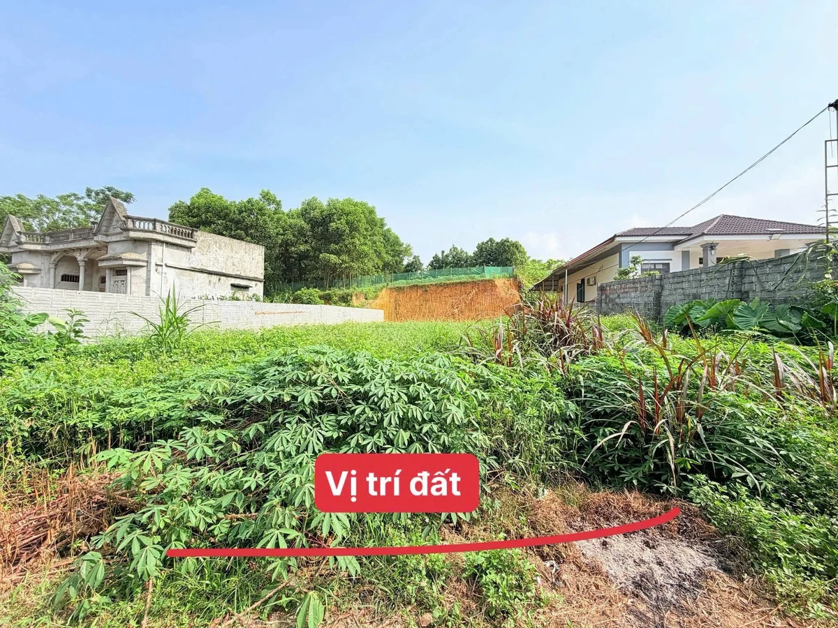 Bán lô đất 399m² Yên Lập Phú Thọ 500 triệu - Ảnh 1