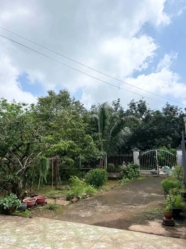 Nhà vườn bán 700m² 3 phòng ngủ Phường Xuân Lập Long Khánh