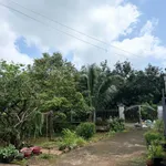 Nhà vườn bán 700m² 3 phòng ngủ Phường Xuân Lập Long Khánh - Ảnh thu nhỏ 1
