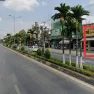 Chính chủ cần bán đất mặt tiền Phan Đình Phùng vị trí kinh doanh đắc địa - Ảnh thu nhỏ 8