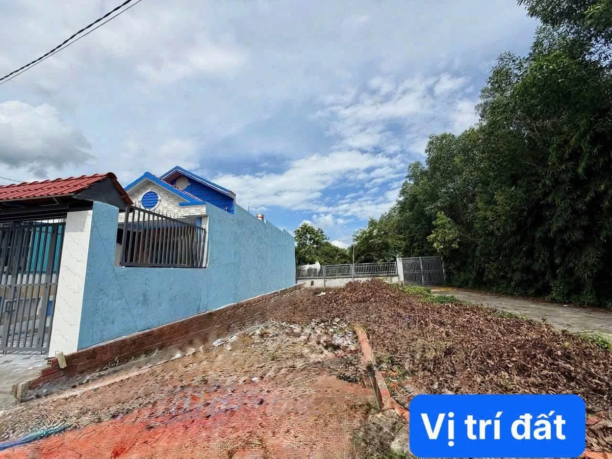 Bán đất Nhà Bè 100m² mặt tiền Hùng Vương gần chợ 1 tỷ 450 - Ảnh thu nhỏ 3