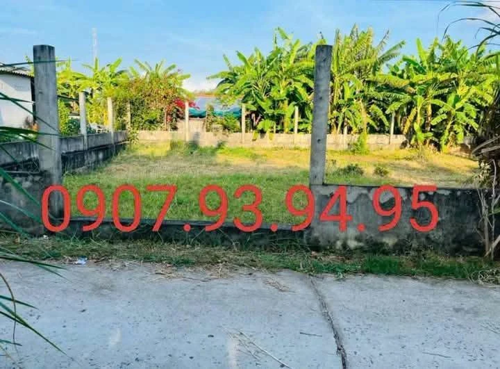 Bán đất nền 393m² mặt tiền Bình Đại, Bến Tre 350 triệu - Ảnh thu nhỏ 2