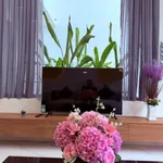 Bán nhà liền kề 3PN 91m² Bình Tân 2 tỷ 680 - Ảnh thu nhỏ 2
