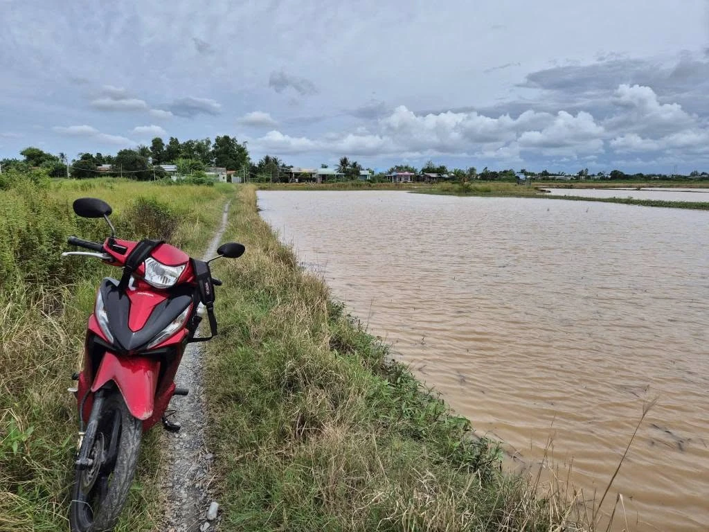 Bán đất lúa 4172m2 giá 500 triệu/1000m2 Xã Phước Tuy - Ảnh thu nhỏ 2
