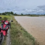 Bán đất lúa 4172m2 giá 500 triệu/1000m2 Xã Phước Tuy - Ảnh thu nhỏ 2