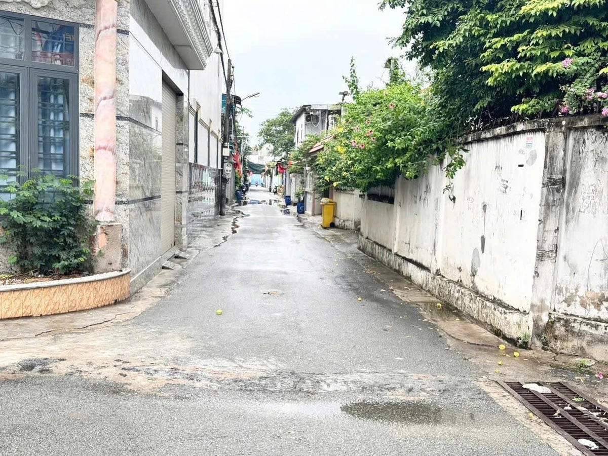Bán đất nền Trại Bò 100m², 1 tỷ 750 triệu - Ảnh thu nhỏ 2