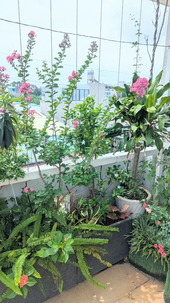 Bán nhà 3 tầng 88m2 đường Bùi Thiện Ngộ, Quận 12 - Ảnh 1